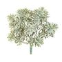 Crossostephium artificiel ALGOL, piquet, crossdoor, gris-vert, 20cm