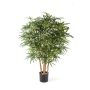 Aralia artificiel MAKASIM, vrais troncs, vert, 115cm