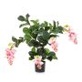 Médinilla artificiel ALDORA, rose, 75cm