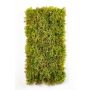 Tapis de mousse d'Islande artificiel MUSCIDA, vert-brun, diff. inflammable, 25x50cm