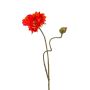 Coquelicot artificiel HASNA, rouge, 75cm