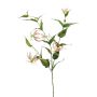 Gloriosa artificiel WARIS rose-crème, 120cm