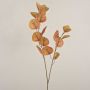 Branche d'eucalyptus artificielle SOPONG, brun, 80cm