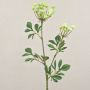 Achillée millefeuille artificielle GOURAV, crème-blanc, 75cm