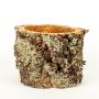 Pot de fleurs ORSINO en écorce de liège, naturel, 20cm, Ø23-28cm