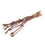 Rameaux de vigne en botte RAGGA, 10 pièces, naturel, 60cm
