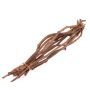 Botte de branches de vigne ROSHAN, séchée, 10 pièces, naturel, 65cm