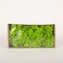 Véritable mousse d'Islande SVEINBJÖRN, vert pomme, 500g