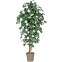 Camélia artificiel JASMINDE, troncs naturels, avec des fleurs, blanc, 200cm - Made in Italy