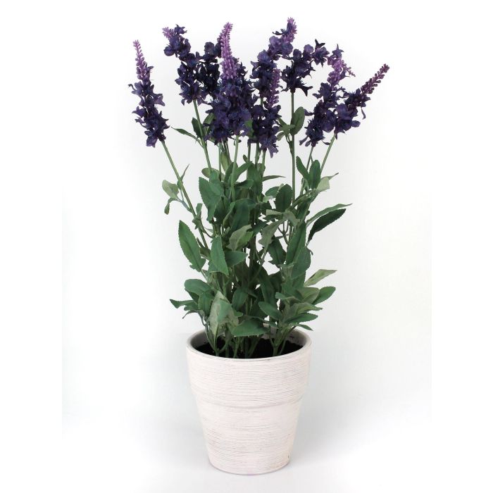 Acheter des Lavande artificielle FLORINA, pot en argile, violet foncé,  50cm, Ø3cm - Fausses fleurs