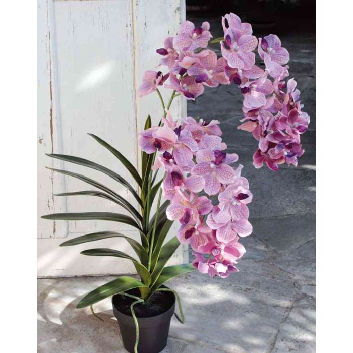 Acheter des Fleur artificielle Orchidée Vanda ROSEMARIE, rose-violet, 100cm