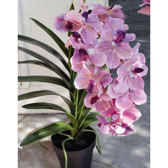Acheter des Fleur artificielle Orchidée Vanda ROSEMARIE, rose-violet, 100cm