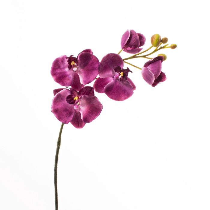 Acheter des Tige d'orchidée Phalaenopsis en soie TAMIA, violet foncé, 80cm,  Ø7-10cm - Fausses fleurs
