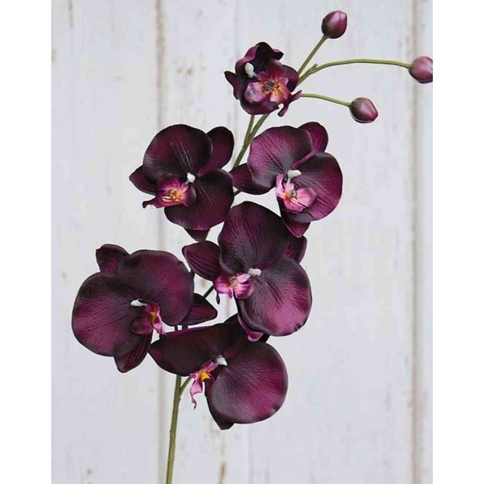 Acheter des Tige d'orchidée Phalaenopsis en tissu XANDRA, violet foncé, 85cm
