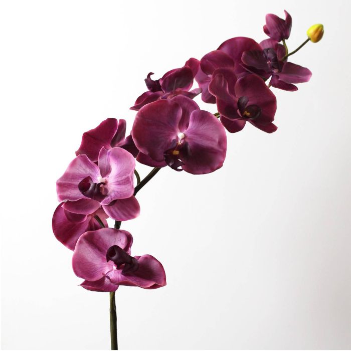Acheter des Tige d'orchidée Phalaenopsis en soie FIDELIA, violet foncé,  110cm, Ø7-12cm - Fausses fleurs