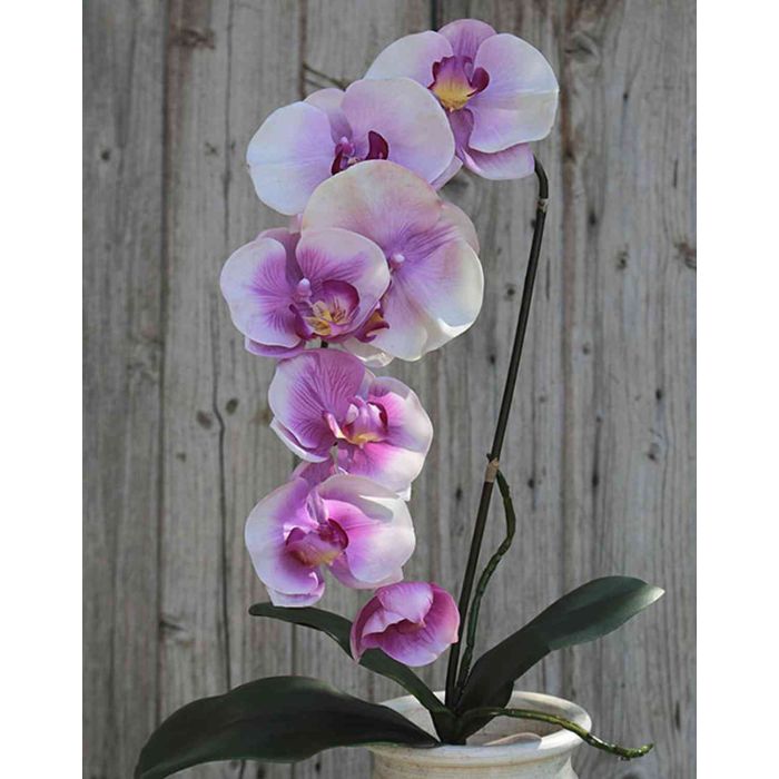 Acheter des Orchidée Phalaenopsis artificielle ZAFIRA, piquet, violet, 75cm