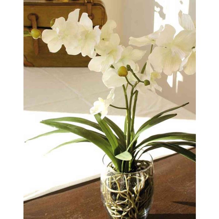 Acheter des Orchidée artificielle Vanda JIA dans un vase en verre,  crème-blanc, 50cm