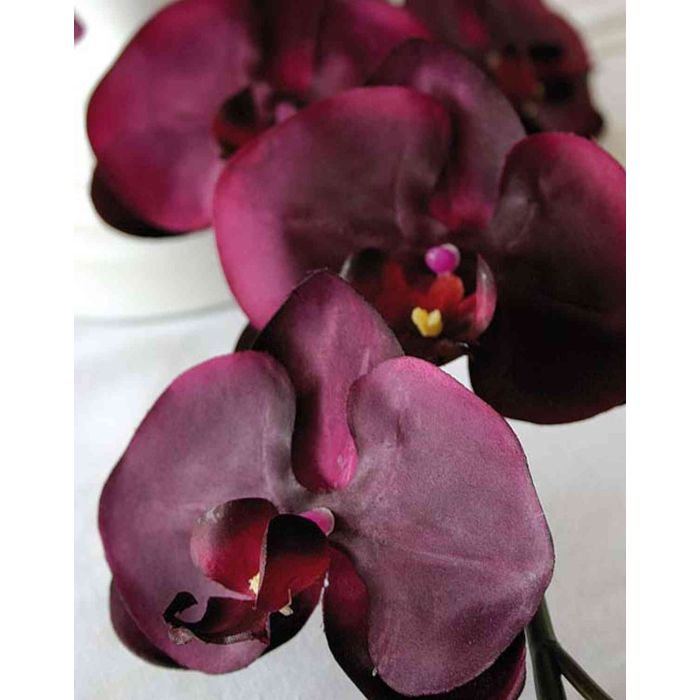 Acheter des Tige d'orchidée Phalaenopsis artificielle MIRABELLA, rouge  bordeaux, 150cm