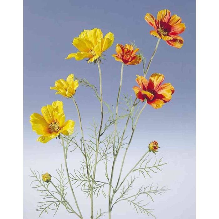Acheter des Fleur artificielle Cosmos TALIYAH, jaune, 95cm