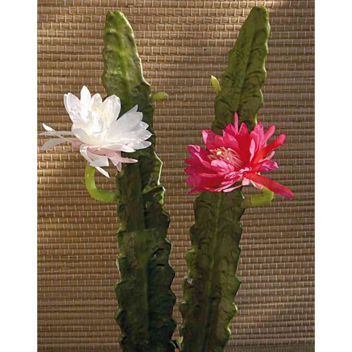 Acheter Des Cactus Artificiel Reine De La Nuit Domenica Fleur Fuchsia 50cm