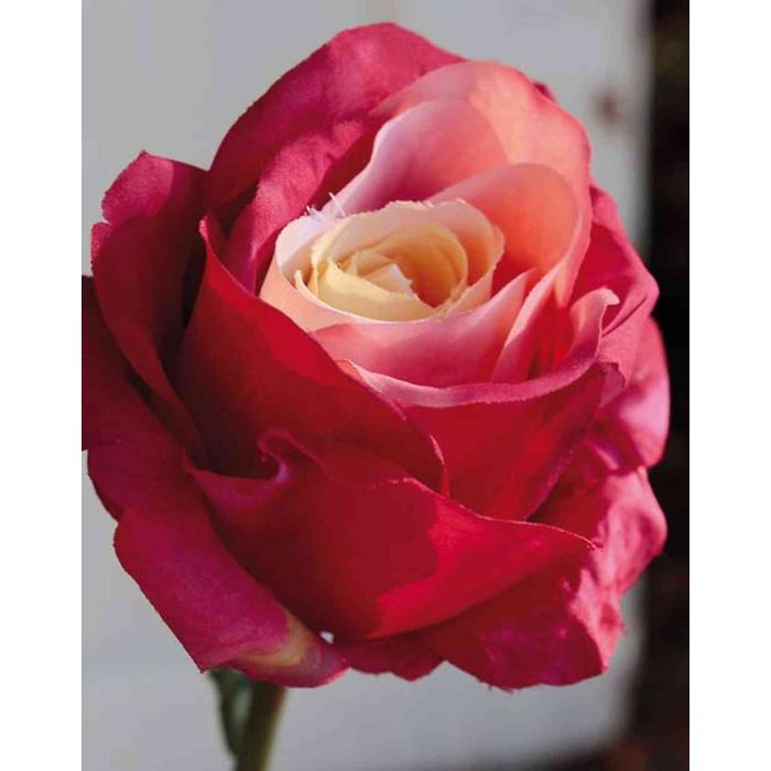 Acheter des Fausse fleur Rose DAGMAR, rouge-jaune, 65cm, Ø10cm