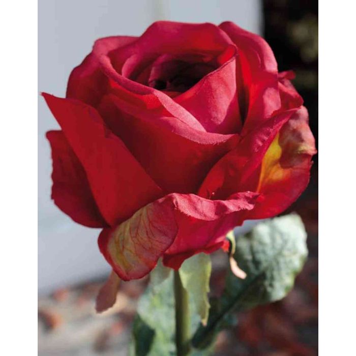 Acheter des Fausse fleur Rose DAGMAR, rouge, 65cm, Ø10cm
