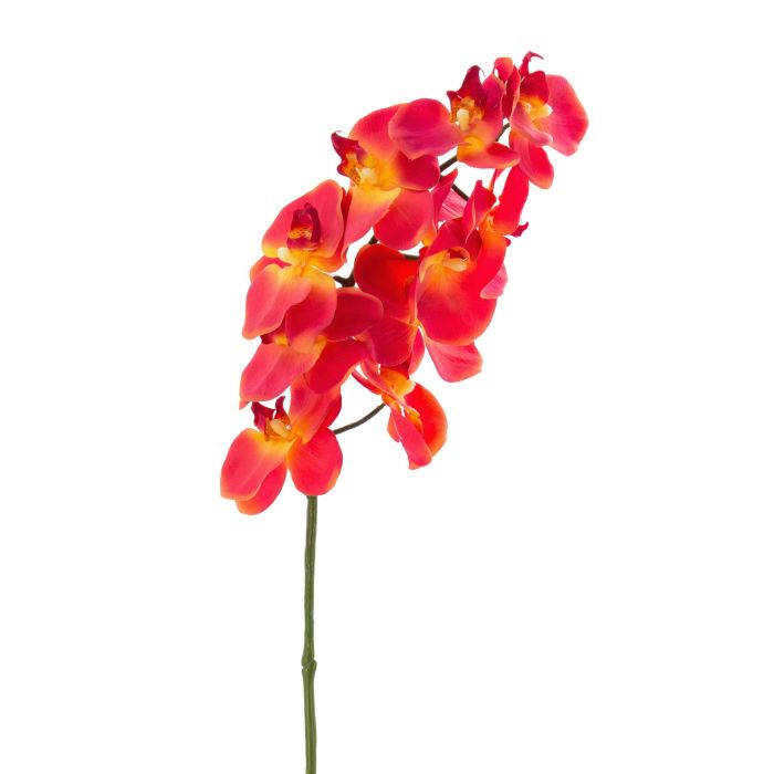 Acheter des Tige d'orchidée Phalaenopsis en plastique STINA, rouge, 65cm,  Ø6,5cm - Fausses fleurs