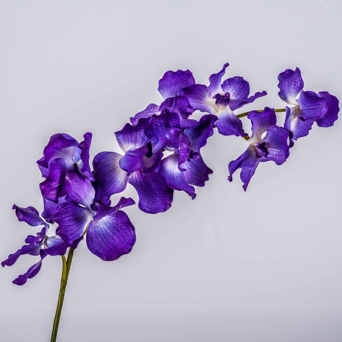 Acheter des Tige d'orchidée Vanda artificielle JADA, lilas, 100cm, Ø11-13cm  - Fausses fleurs