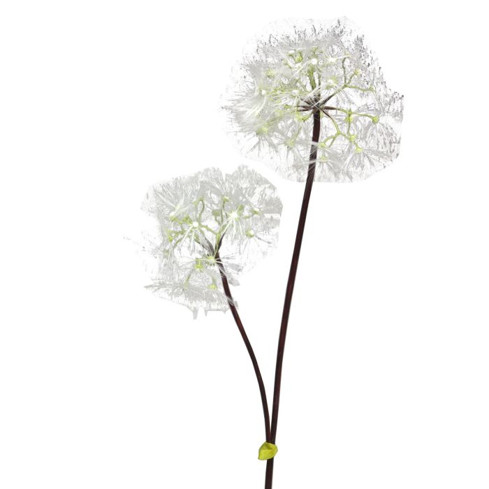 Une peinture en noir et blanc de la fleur de pissenlit