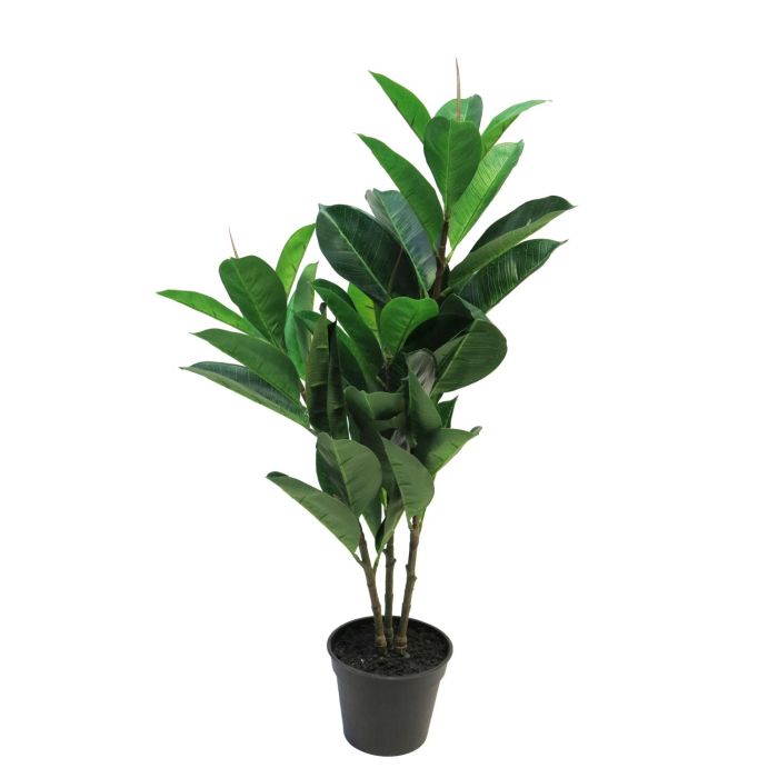 Acheter des Fausse plante Ficus Elastica TAINING, troncs artificiels, vert,  70cm