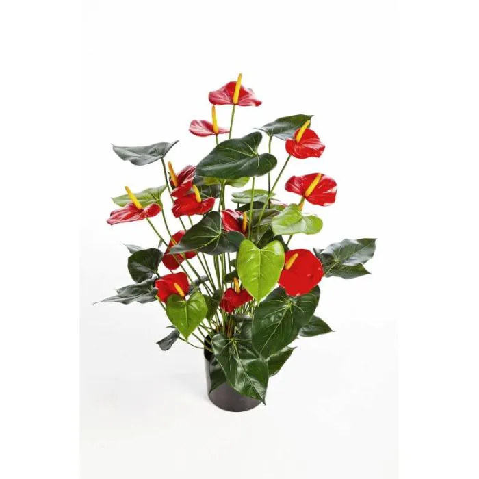 LAN Bouquet Plante Artificielles En Plastique Rouge Anthurium Fleurs Déco De Mariage Maison