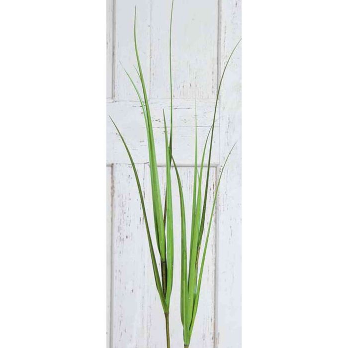 Acheter des Tige d'herbe de la Pampa artificielle ILYAS, vert, 150cm