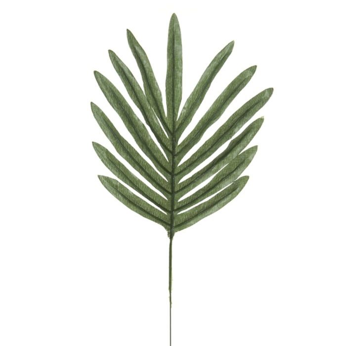 Feuille De Palmier Séchée Décorative – Décoration Murale Tropicale – Pour Composition Ou Fête