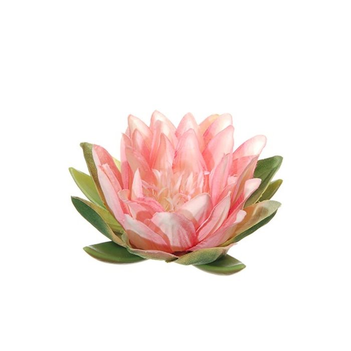 Acheter des Fleur de lotus artificielle SKYLAR, flottante, rose-blanc