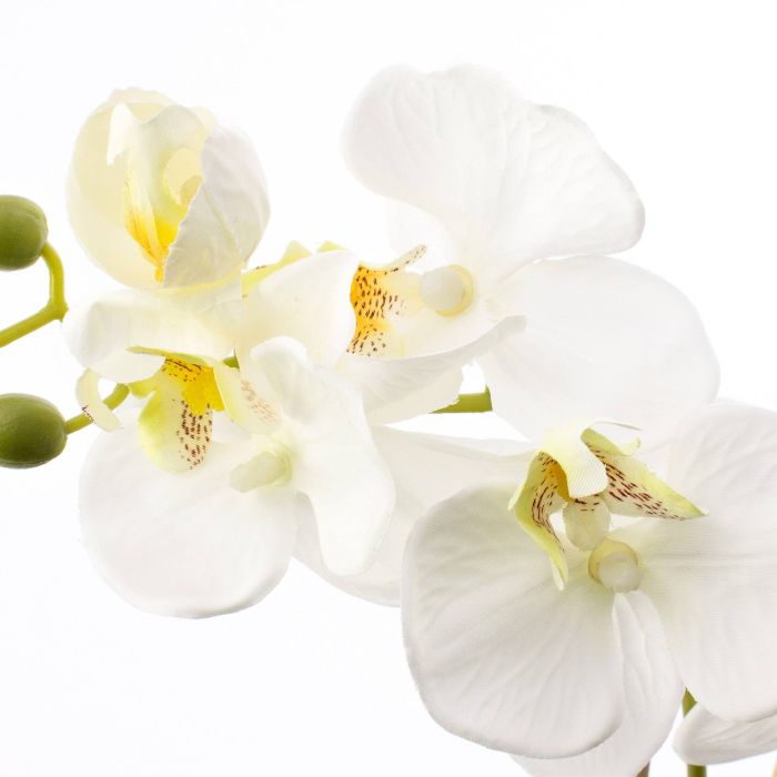 Acheter des Orchidée en soie MINA, pot en terre cuite, blanc, 45cm, Ø6-8cm  - Fausses fleurs