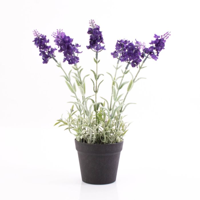 Acheter des Lavande artificielle LOUISE, pot décoratif, violet foncé, 30cm,  Ø3cm - Fausses fleurs