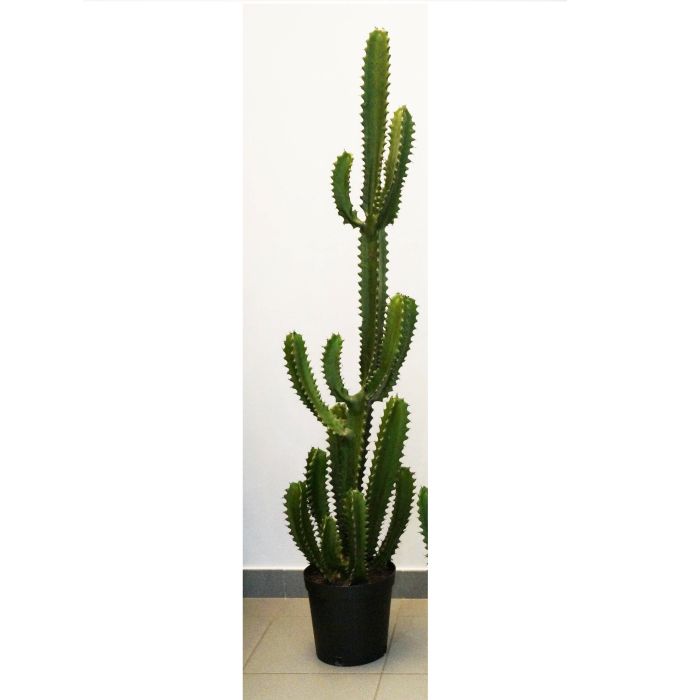 Acheter des Cactus cierge du Pérou artificiel RAMON, vert, 135cm - Fausses  succulentes