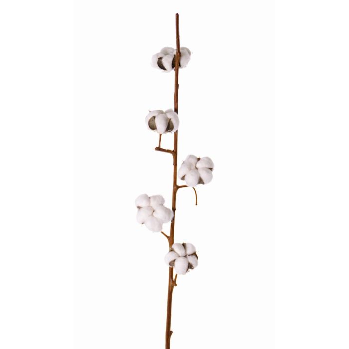 Acheter des Branche de coton artificielle NOBI, avec fleurs, blanc, 90cm -  Fausses plantes