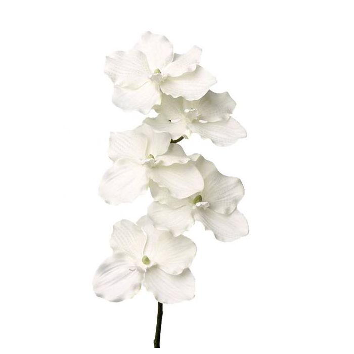 Acheter des Tige d'orchidée Vanda artificielle TERATAI, blanc, 55cm, Ø11cm  - Fausses fleurs