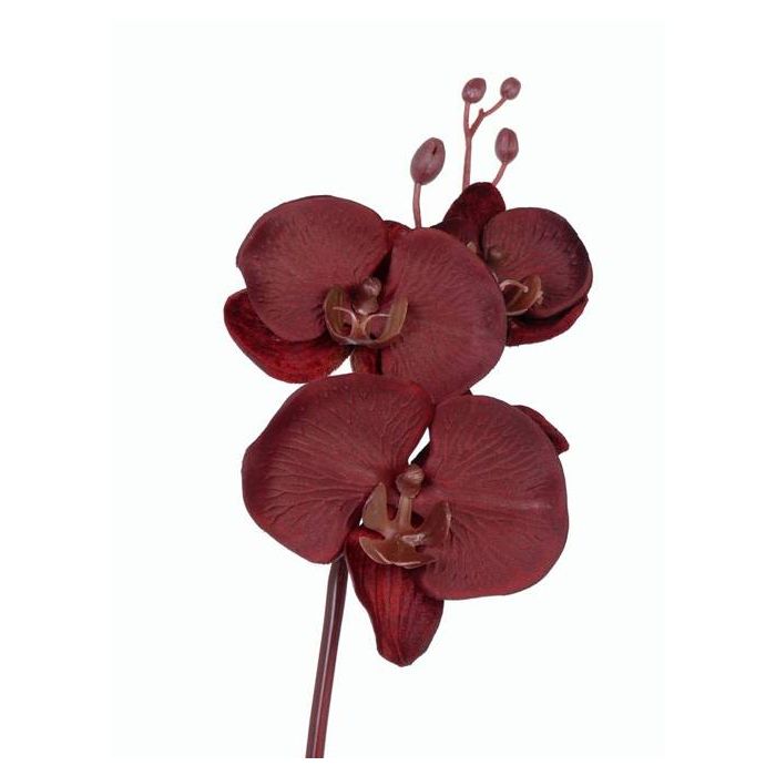 Acheter des Tige d'orchidée Phalaenopsis artificielle AMALITA, rouge foncé,  60cm