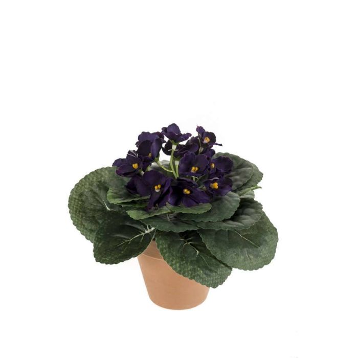 Acheter des Violette africaine artificielle MOLGAS en pot en argile, violet  foncé, 20cm