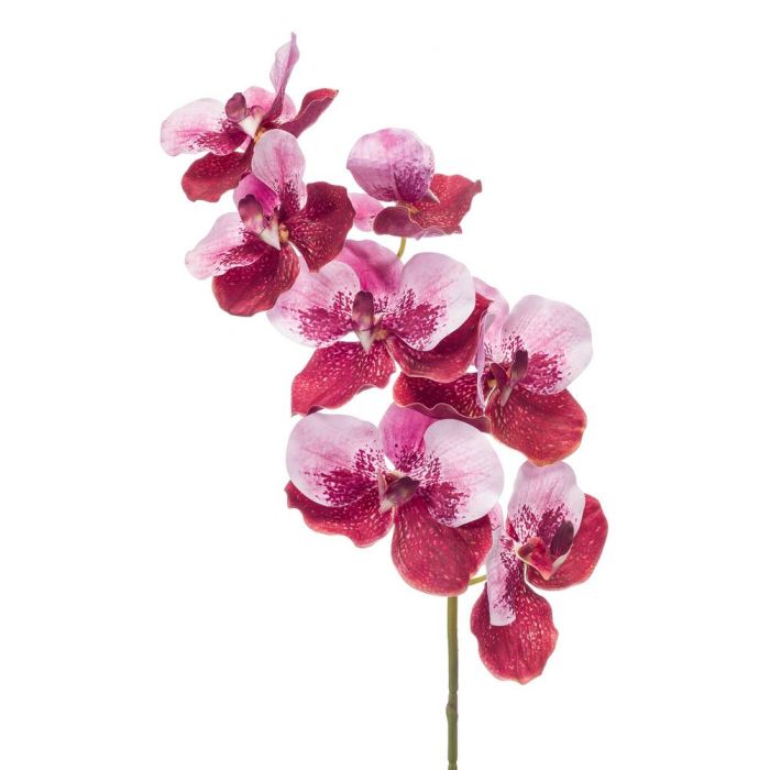 Acheter des Tige d'orchidée Vanda en soie CAMPO, rose-rose fuchsia, 100cm