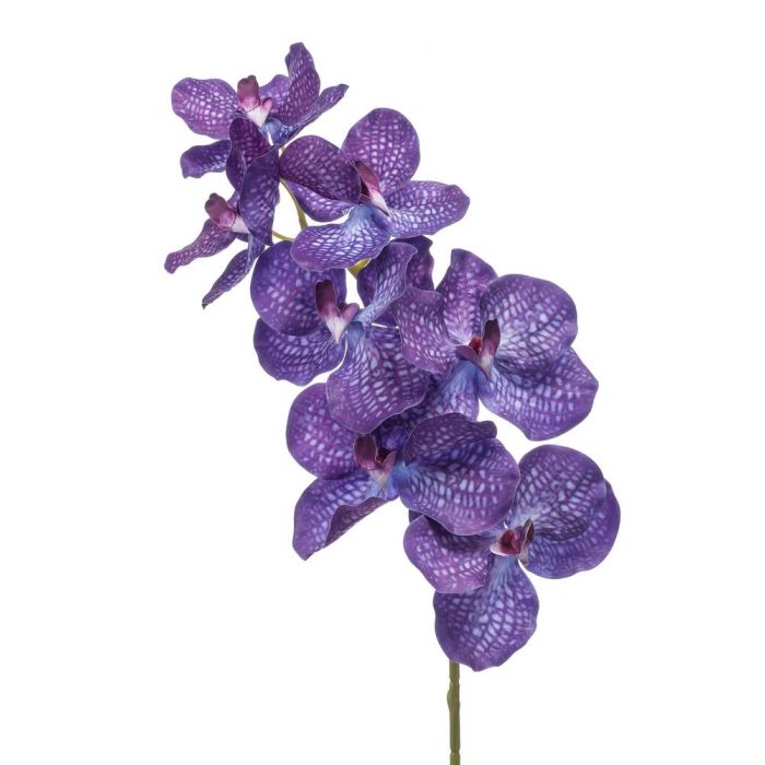 Acheter des Tige d'orchidée Vanda en soie CAMPO, violet, 100cm