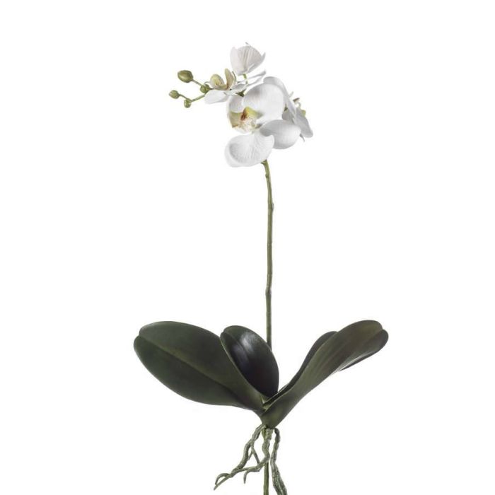 Acheter des Orchidée Phalaenopsis en soie FAO sur piquet, blanc, 45cm