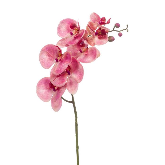 Acheter des Tige d'orchidée Phalaenopsis en soie NEITH, rose-rose fuchsia,  85cm