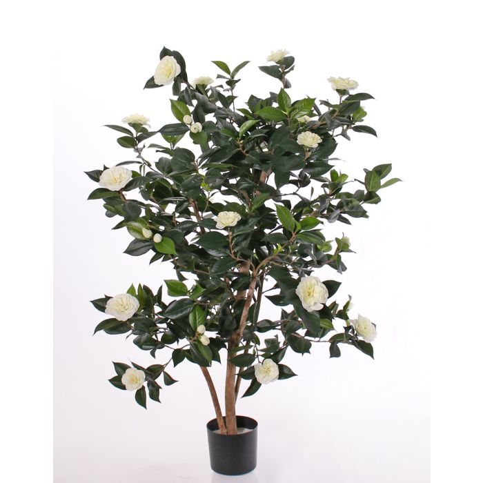 Acheter des Plante artificielle Camellia Japonica SENTA, vrais troncs,  fleurs, crème, 135cm