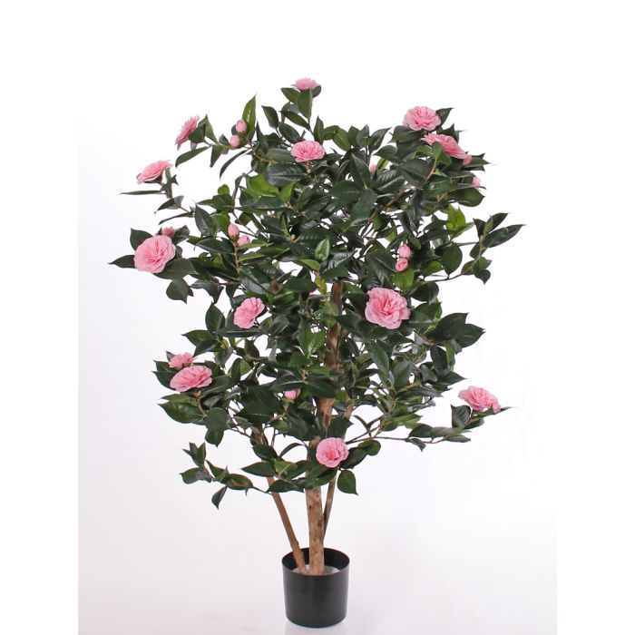 Acheter des Plante artificielle Camellia Japonica SENTA, vrais troncs,  fleurs, rose, 135cm