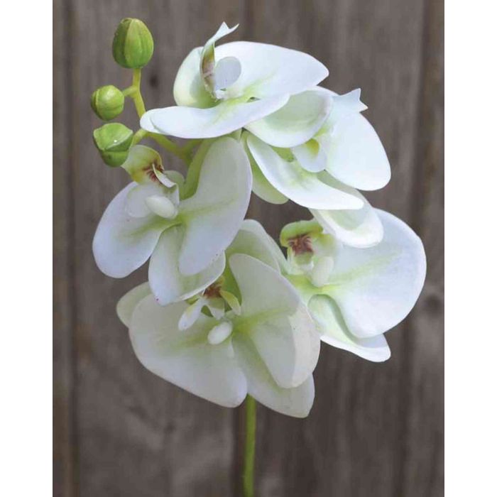 Tige D'orchidée En Soie OPHELIA, Rose, 100cm, 12cm - Fausses Fleurs