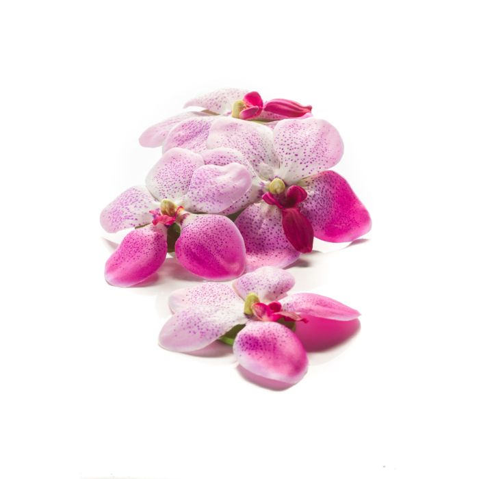 Acheter des Fausses fleurs d'orchidée Vanda KESIA, 4 pcs, flottantes, rose  fuchsia-blanc, Ø9cm