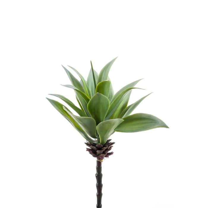 Tillandsia Et Son Support En Cube 20cm - Plante D'intérieur